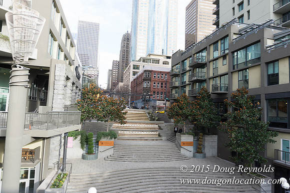 Seattle Steps