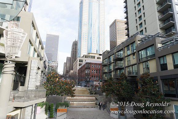 Seattle Steps
