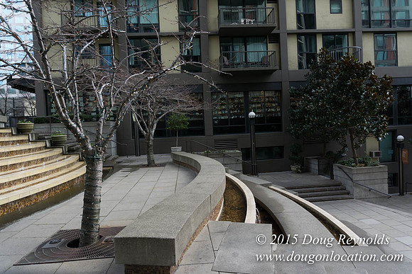 Seattle Steps