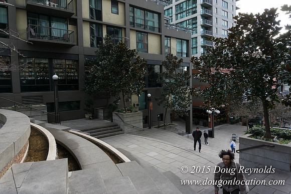 Seattle Steps