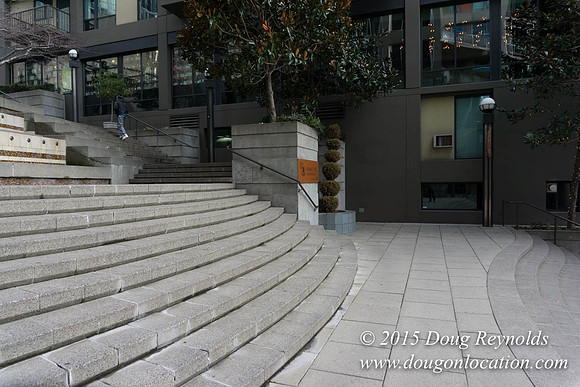 Seattle Steps