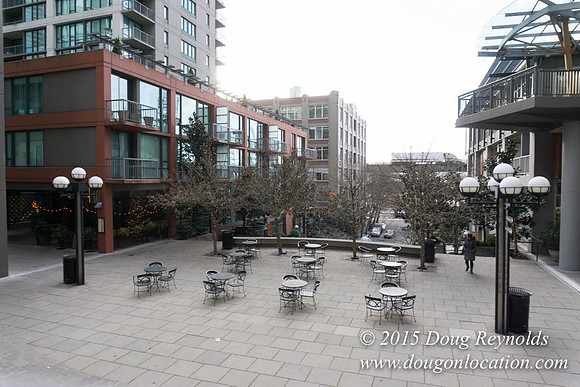 Seattle Steps