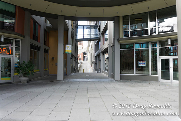 Seattle Steps