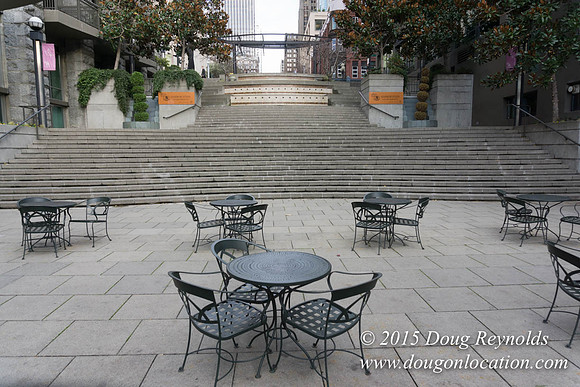 Seattle Steps