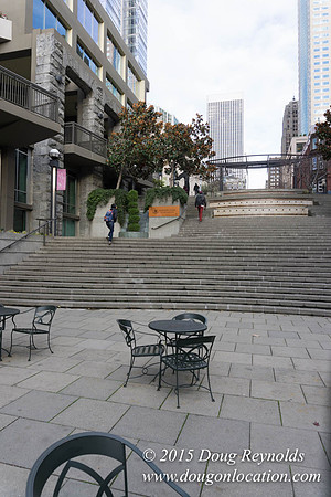 Seattle Steps