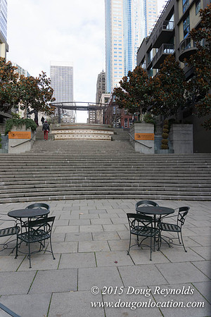 Seattle Steps