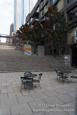 Seattle Steps