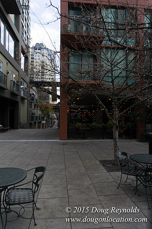 Seattle Steps