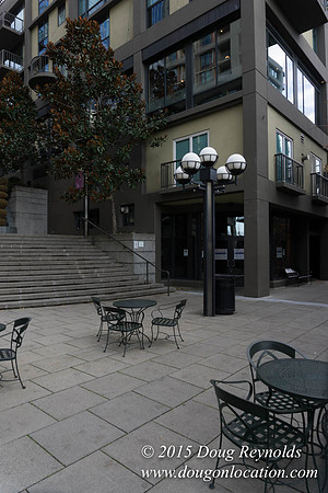 Seattle Steps
