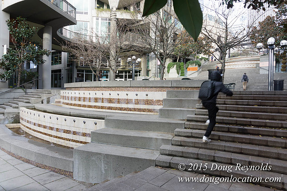 Seattle Steps