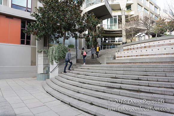 Seattle Steps
