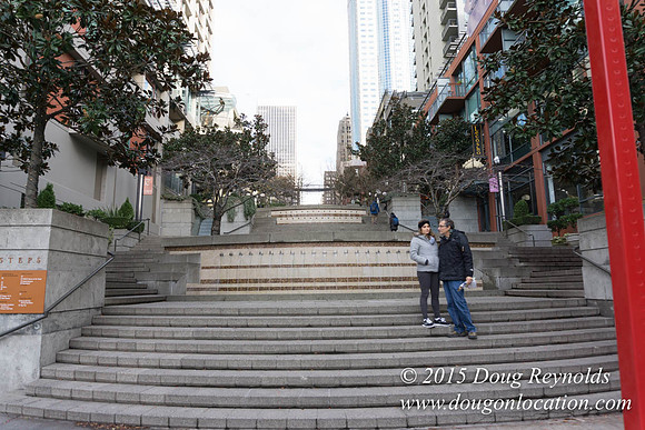 Seattle Steps