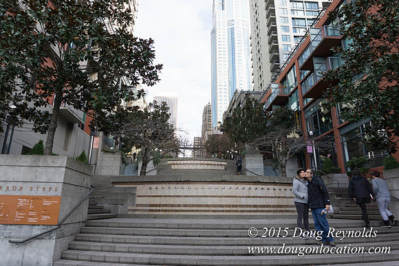 Seattle Steps