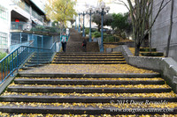 Pikes Stairs-