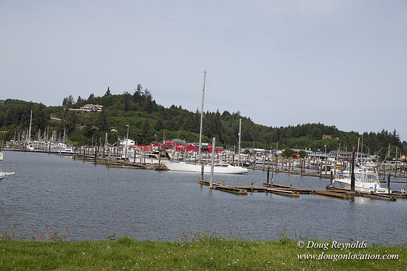 ilwaco Harbor & Boat Ramp