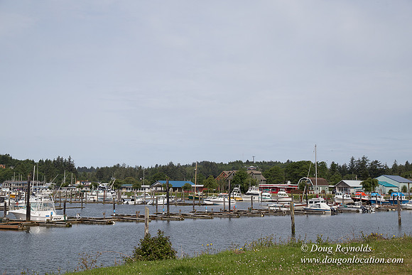 ilwaco Harbor & Boat Ramp