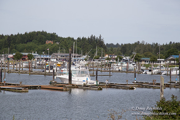 ilwaco Harbor & Boat Ramp