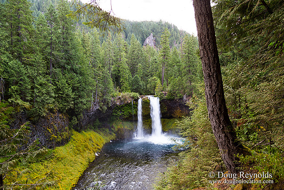Koosah Falls