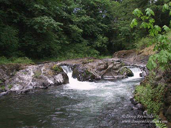 Falls #16
