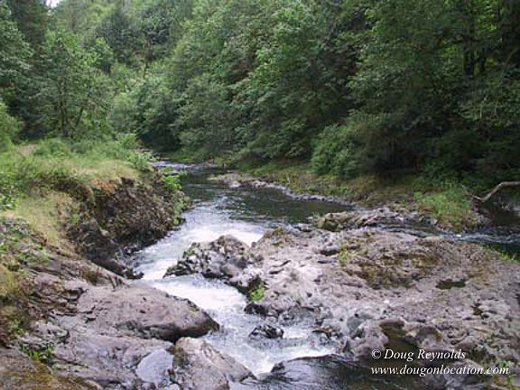 Falls #16