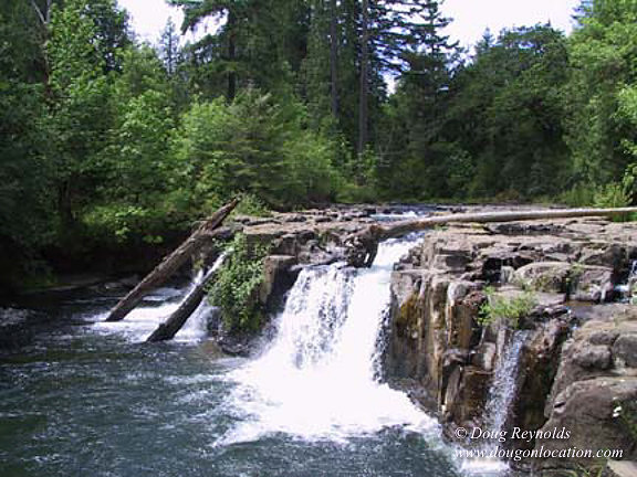 Falls #16