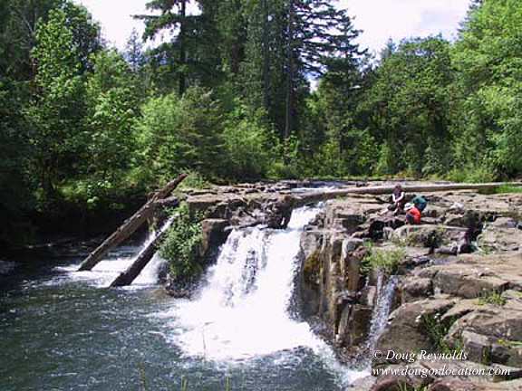 Falls #16