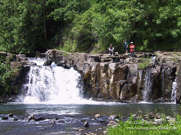 Falls #16
