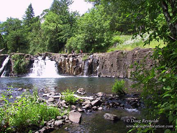 Falls #16