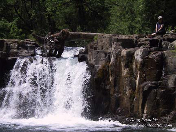 Falls #16