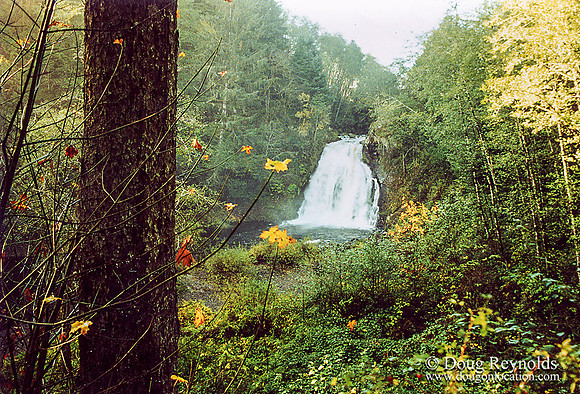 Falls #38 Youngs River Falls