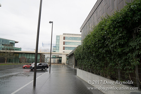 BMG Foundations