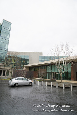BMG Foundations