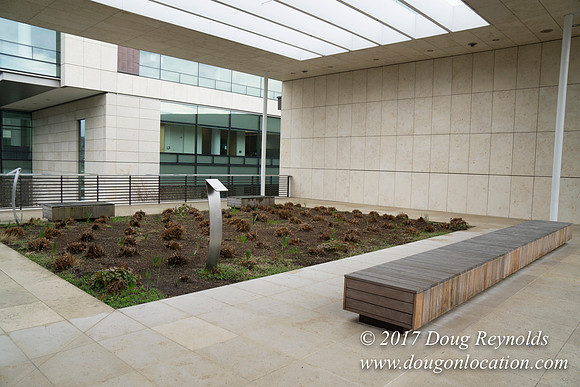 BMG Foundations