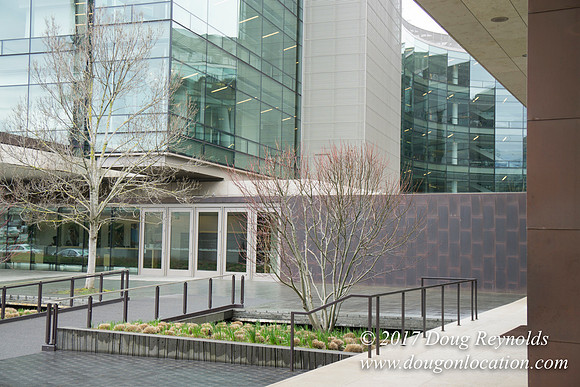 BMG Foundations