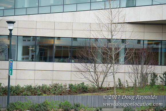 BMG Foundations