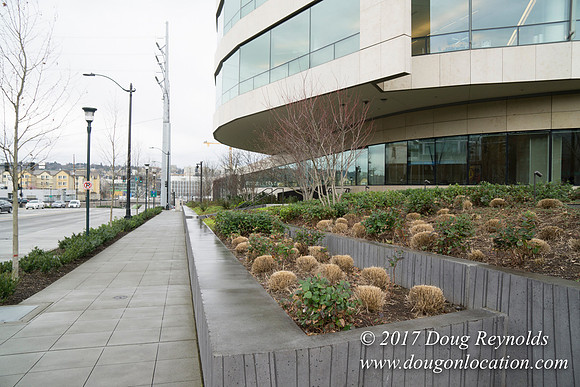 BMG Foundations