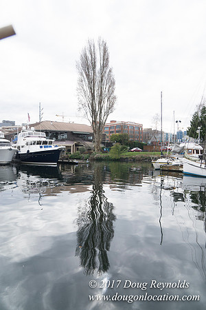 Center for Wood Boats