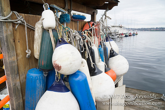 Center for Wood Boats