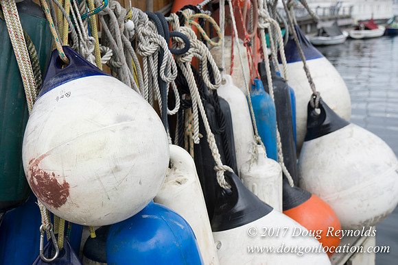 Center for Wood Boats