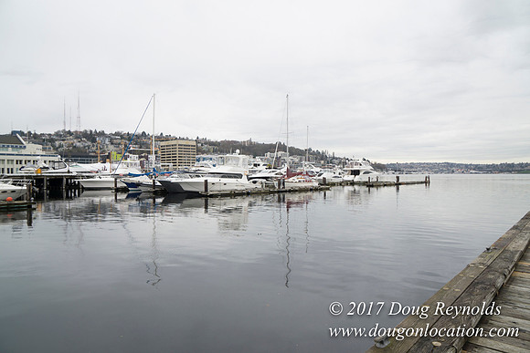 Chandles Cove