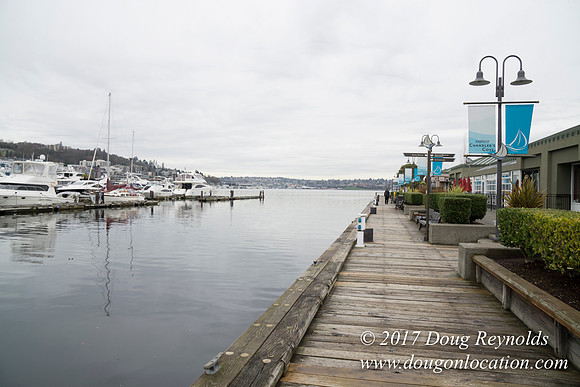 Chandles Cove