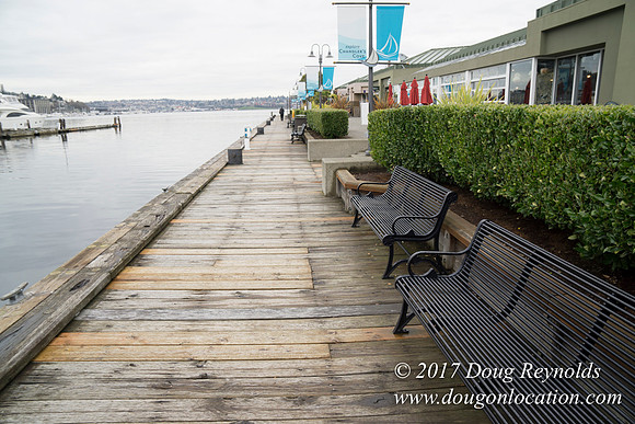 Chandles Cove