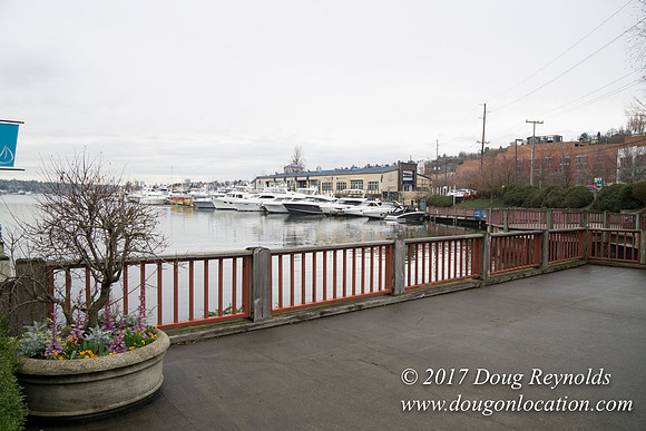 Chandles Cove