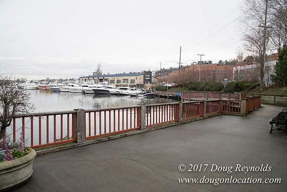 Chandles Cove