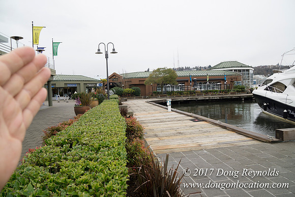 Chandles Cove