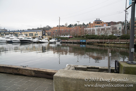 Chandles Cove