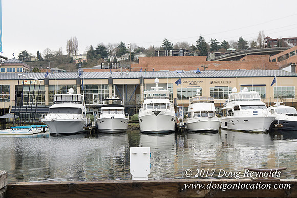 Chandles Cove