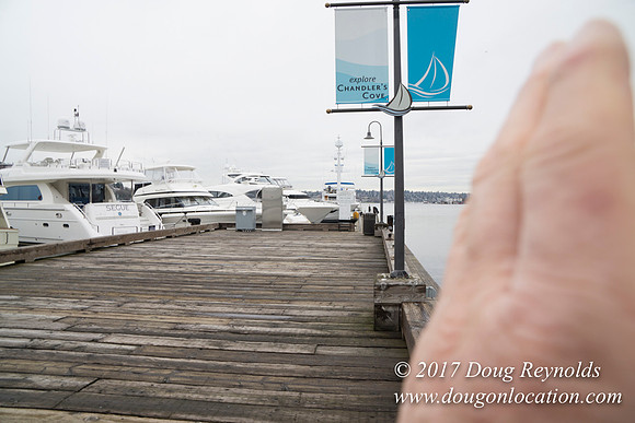 Chandles Cove