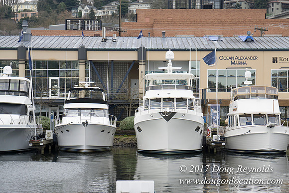 Chandles Cove