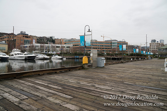 Chandles Cove